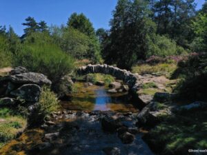 Les tourbières du PNR de Millevaches